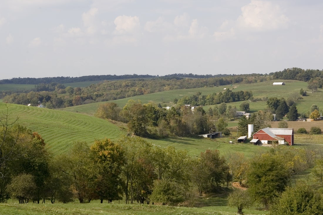 a large green field with a mountain in the background